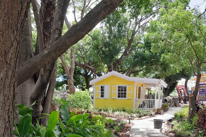 Nevis Hot Springs & Bath Village Heritage Experience - Who will enjoy this most