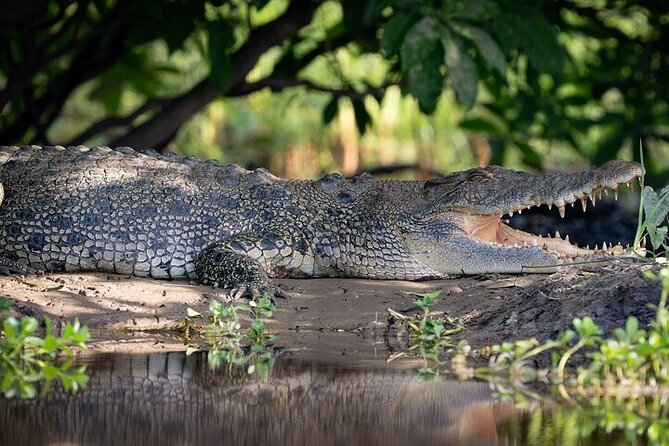 Nitmiluk National Park & Katherine Hot Springs - Full Day Tour - A 6:30 am start and a long road north