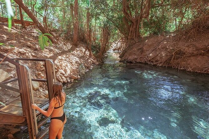 Nitmiluk National Park & Katherine Hot Springs - Full Day Tour - What the $429.63 price really covers