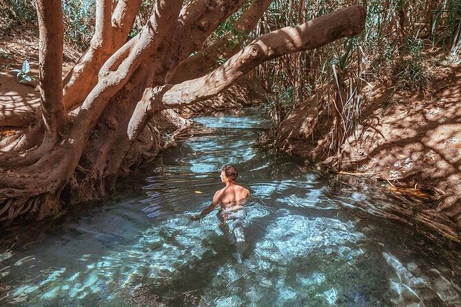 Nitmiluk National Park & Katherine Hot Springs - Full Day Tour - Should you book the Nitmiluk day tour?