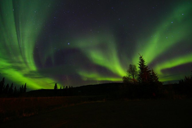 Northern Lights and Chena Hot Springs Night Tour from Fairbanks - Soaking in the rock lake and indoor pool