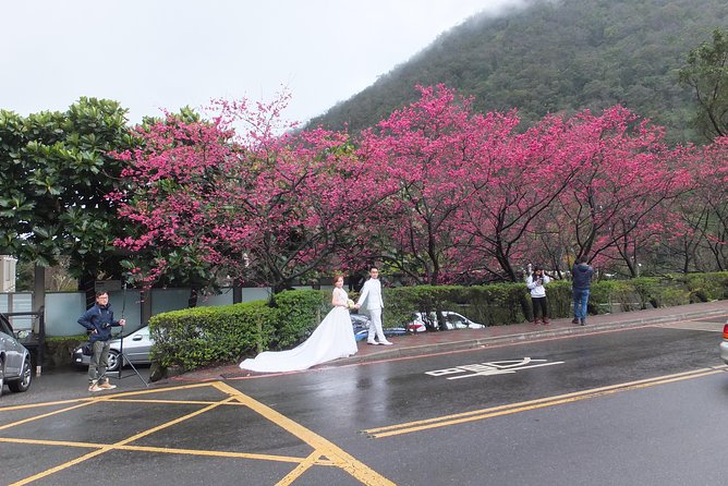 One-day Yangmingshan NP Beitou Hot Spring Park and Tamsui Tour Package - The day at a glance