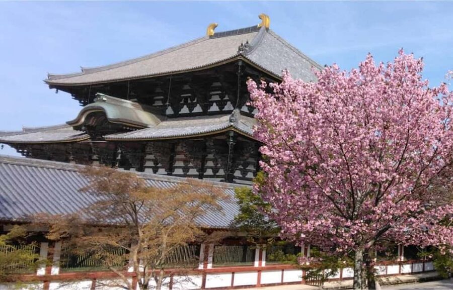 Osaka: Nara and Uji Day Trip with Deer Park and Hot Spring - Starting in Osaka and riding south