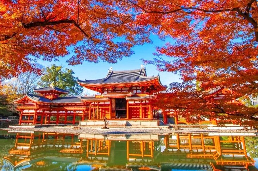 Osaka: Nara and Uji Day Trip with Deer Park and Hot Spring - Nara Park and the deer crackers