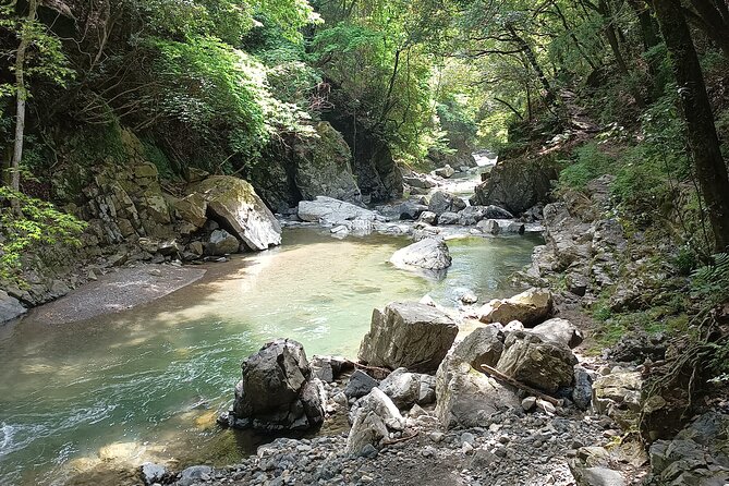 Osaka River Rapids Hike and Natural Hot Spring tour - Why this outing works as an Osaka escape