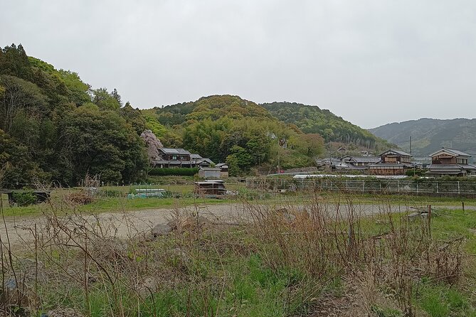 Osaka River Rapids Hike and Natural Hot Spring tour - A short break at Settsukyo Park