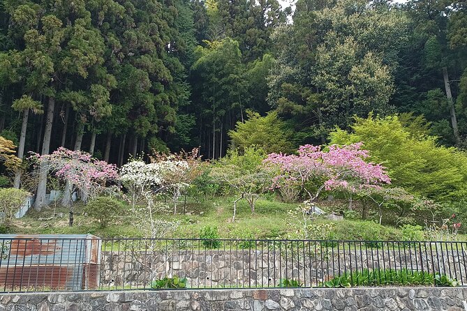 Osaka River Rapids Hike and Natural Hot Spring tour - Price, extra costs, and overall value