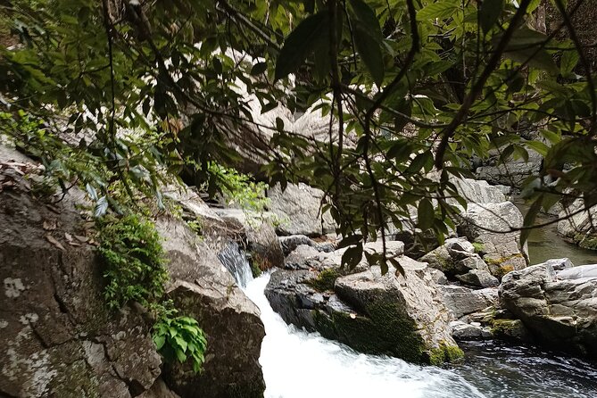 Osaka River Rapids Hike and Natural Hot Spring tour - Practical tips for a smoother outing