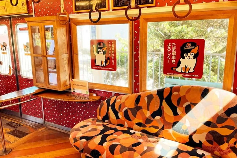 Osaka: Wakayama Cat Train, Seafood market, Hot Springs Tour - The day in five useful points