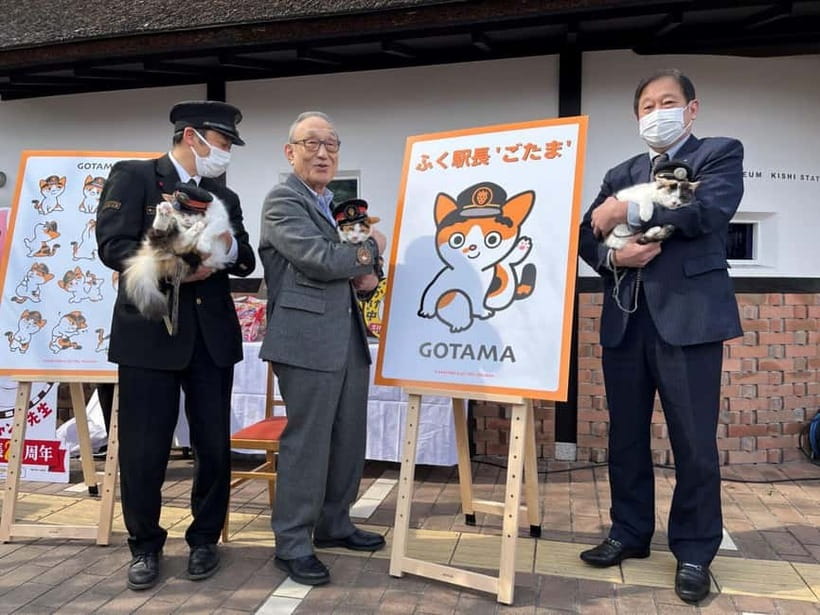 Osaka: Wakayama Cat Train, Seafood market, Hot Springs Tour - Leaving Osaka for Wakayama at 8:30