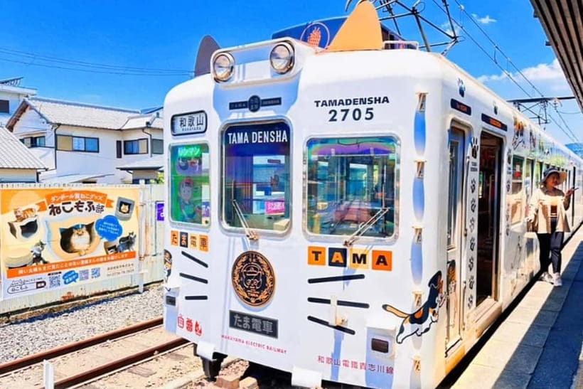 Osaka: Wakayama Cat Train, Seafood market, Hot Springs Tour - Riding the Tama, Strawberry, or Toy Train