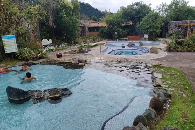 Papallacta Hot Springs & Guango Birding Reserve Private Tour - The Cloud Forest Walk Is Short but Worthwhile