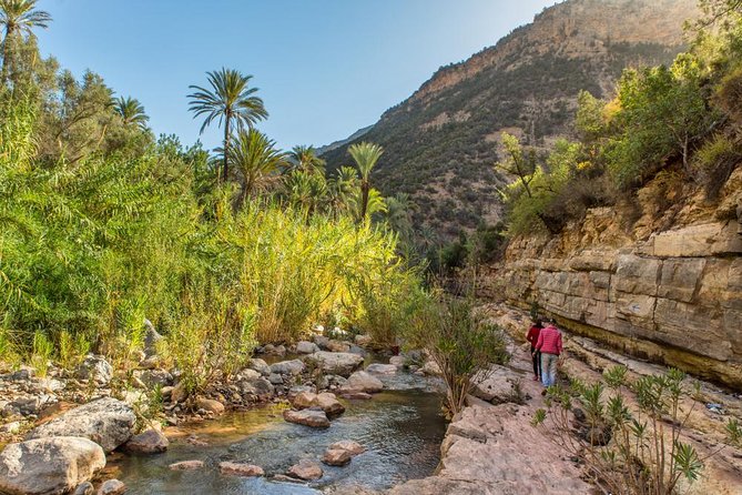 Paradise Valley Trip with Hammam Massage - Practical details that affect your day