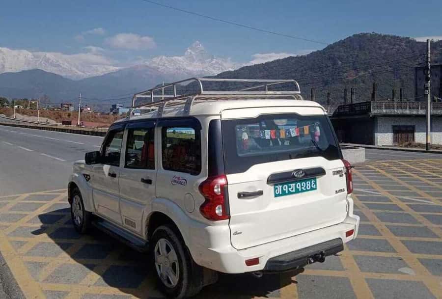 Pokhara: 5 Day Annapurna Base Camp Trek & Natural Hot Spring - Day 4: Morning at base camp, then Bamboo