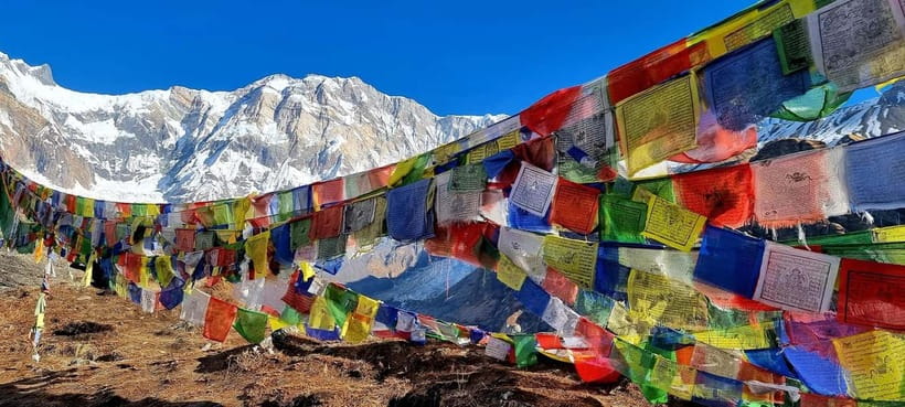 Pokhara: 5-Day Annapurna Base Camp Trek with Hot Spring - Sunrise at Base Camp and the long descent
