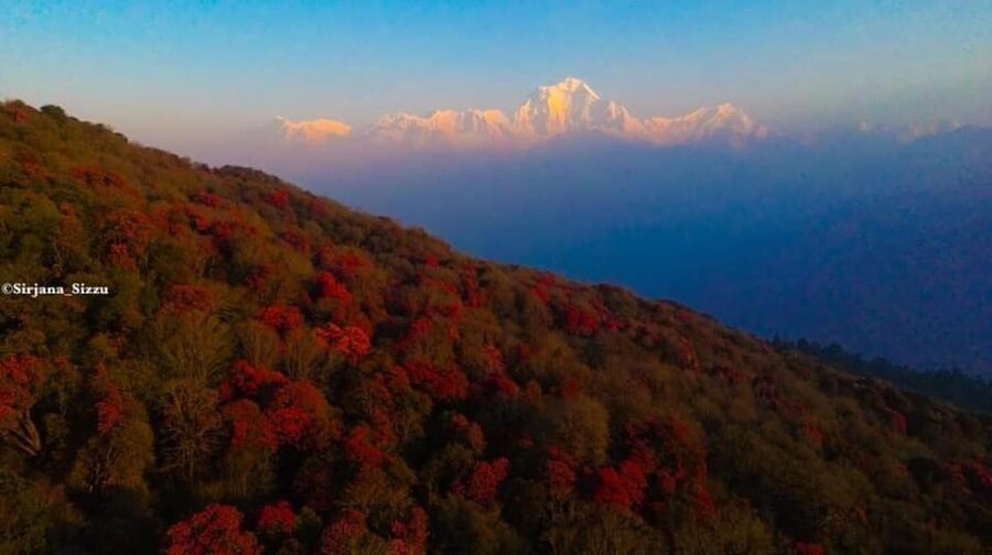 Pokhara: 7-Day Annapurna Base Camp Via PoonHill & Hot Spring - Guides, porters, and the level of service