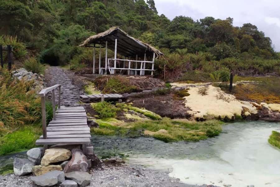 Popayan: Condor Watching in Purace + San Juan Hot Springs - Key Points Before You Book