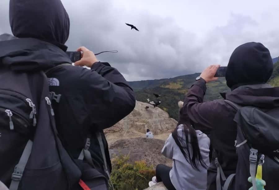 Popayan: Condor Watching in Purace + San Juan Hot Springs - From Popayán to the High Country at 7:00 am