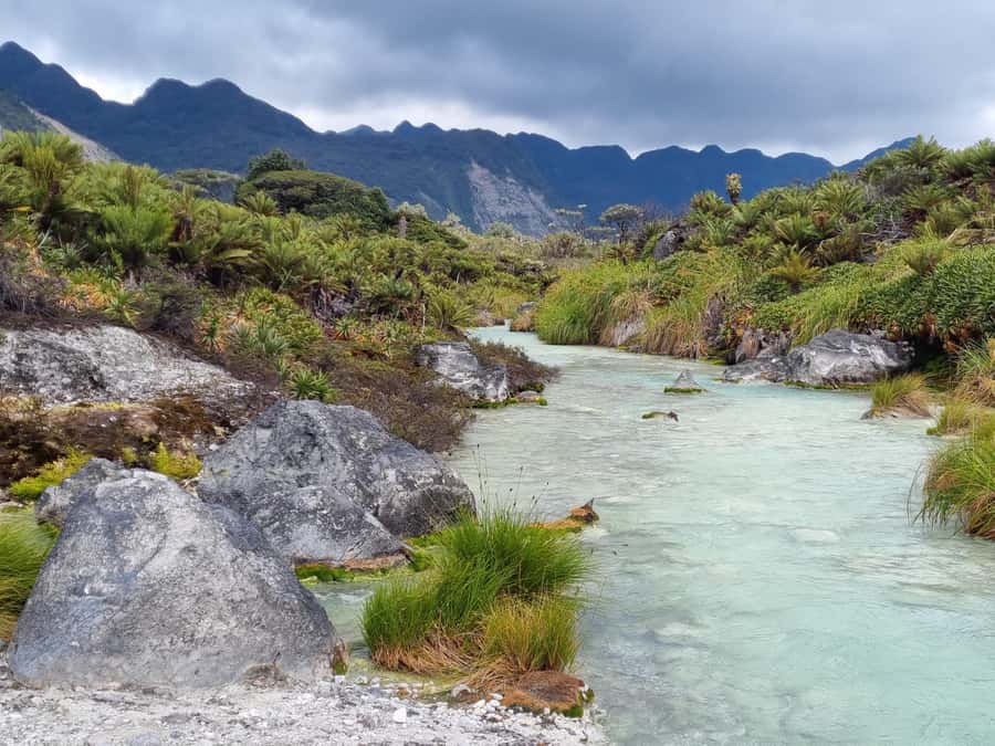 Popayan: Condor Watching in Purace + San Juan Hot Springs - Who Will Enjoy This Day Most?