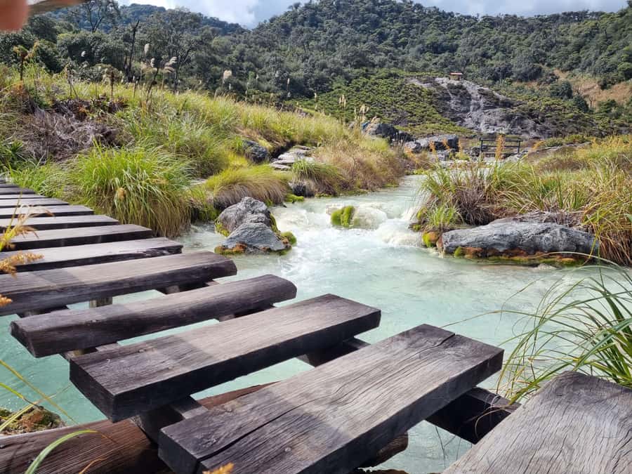 Popayan: Condor Watching in Purace + San Juan Hot Springs - Should You Book This Puracé Excursion?