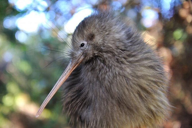 Private 2 Day Tour: Hobbiton, Waitomo, Rotorua Geothermal & Hamilton Gardens - Lake Rotorua: a quiet hour before the film set