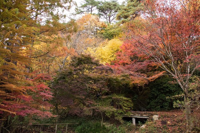 Private Car Day Trip to the Kobe Mountains, Gardens and Hot Springs from Osaka - Relaxing at Arima Onsen
