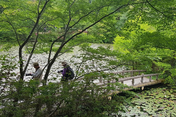 Private Car Day Trip to the Kobe Mountains, Gardens and Hot Springs from Osaka - What the $642.62 price really buys