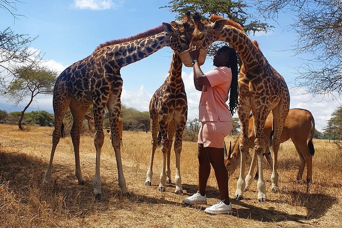 Private Day Tour in Serval Wildlife and Kikuletwa Hot Spring - Meeting the animals at Serval Wildlife