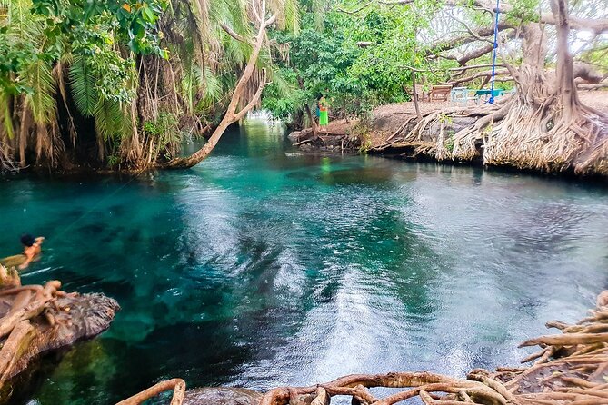Private Day Tour in Serval Wildlife and Kikuletwa Hot Spring - Booking, weather, and cancellation