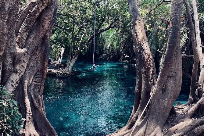 Private Day Trip to Kikuletwa Hot Springs in Kilimanjaro - Who should book this day trip