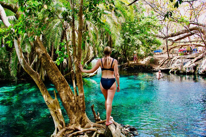 Private Day Trip to Kikuletwa Hot Springs in Kilimanjaro - Swimming, fish, and the spring source