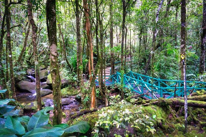 Private Desa Dairy Farm, Kinabalu National Park, Hot Spring & Canopy Walk Tour - What the private guide adds to the day