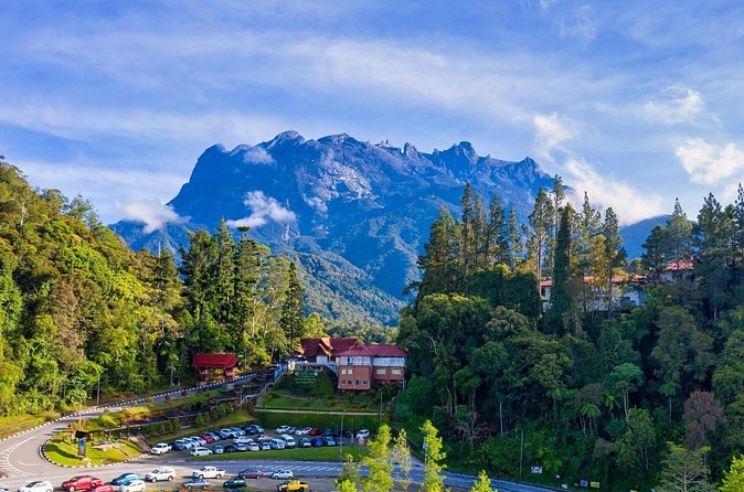 Private Desa Dairy Farm, Kinabalu National Park, Hot Spring & Canopy Walk Tour - Who should book this Sabah day tour?