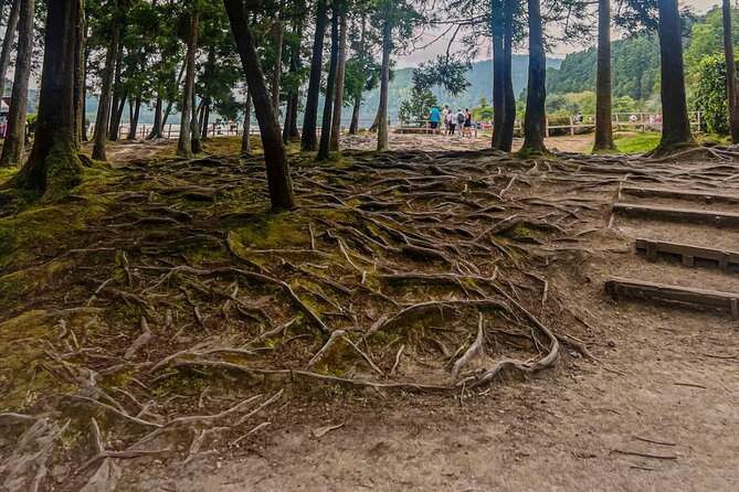 Private Full Day Tour Furnas – Thermal Pools & Botanical Garden - Nossa Senhora da Paz viewpoint over Vila Franca do Campo