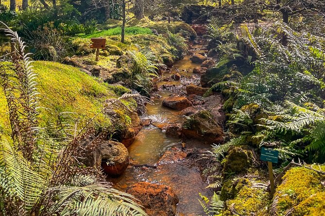 Private Full Day Tour Furnas – Thermal Pools & Botanical Garden - Lagoa das Furnas and the underground Cozido tradition