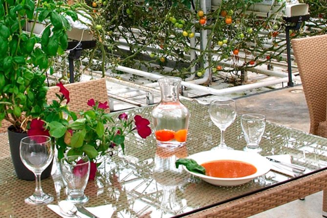 Private Golden Circle, Sky Lagoon and Friðheimar Greenhouse Lunch - Who will enjoy this day most?