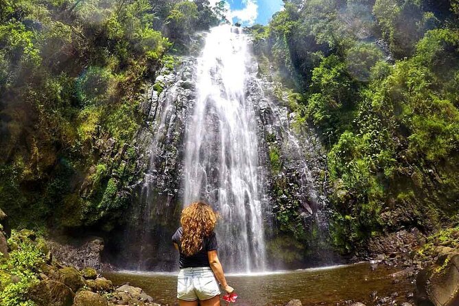 Private Materuni Waterfalls, Coffee Tour and Kikuletwa Hot Spring - A full day from Arusha to the foothills