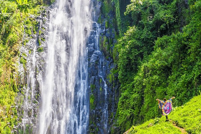 Private Materuni Waterfalls, Coffee Tour and Kikuletwa Hot Spring - Coffee at the farm: the most hands-on stop