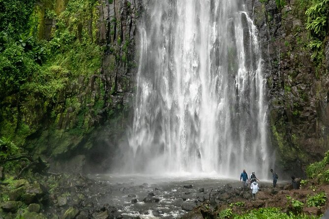 Private Materuni Waterfalls, Coffee Tour and Kikuletwa Hot Spring - The road to Kikuletwa takes patience