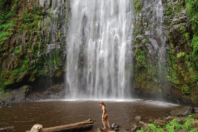 Private Materuni Waterfalls, Coffee Tour and Kikuletwa Hot Spring - What the private format changes