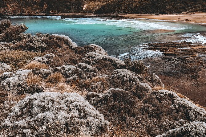 Private Mornington Peninsula Hike and Hot Springs Tour - Key points at a glance