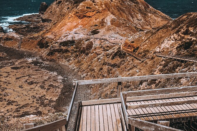 Private Mornington Peninsula Hike and Hot Springs Tour - Private transport and the value of $1,061.52