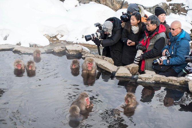 Private Nagano 1-Day Tour:Snow Monkeys,Zenko-ji,Obuse,Sake,Onsen - Obuse is the best place for lunch and local flavor