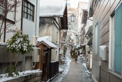 Private Nagano 1-Day Tour:Snow Monkeys,Zenko-ji,Obuse,Sake,Onsen