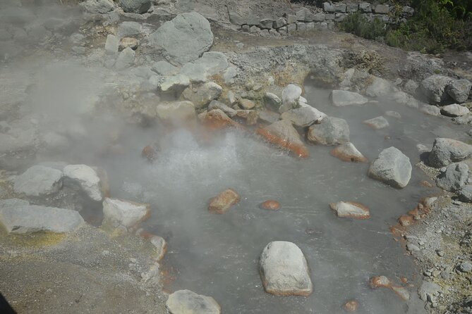 Private Tour Full-Day Furnas: Lake, Fumaroles and Thermal Pools - Terra Nostra Park and the optional thermal pool