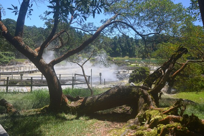 Private Tour Full-Day Furnas: Lake, Fumaroles and Thermal Pools - A guide can make or break the day