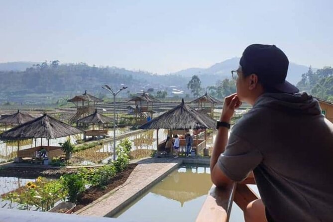 Private Tour to Bandung Volcano Hot Springs and Mud bathing - Timing, traffic, and comfort