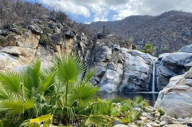 Private Tour to Hot Springs and Waterfall in Santiago - Food, honey, and homemade ice cream