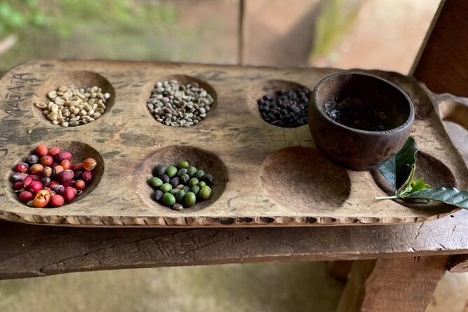 Private Tour to Marangu Waterfalls, Chagga Caves, Coffee tour & Hot Springs - Learning coffee from the plant to the cup