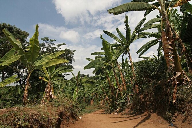 Private Tour to Marangu Waterfalls, Chagga Caves, Coffee tour & Hot Springs - A warm afternoon at Kikuletwa Hot Springs